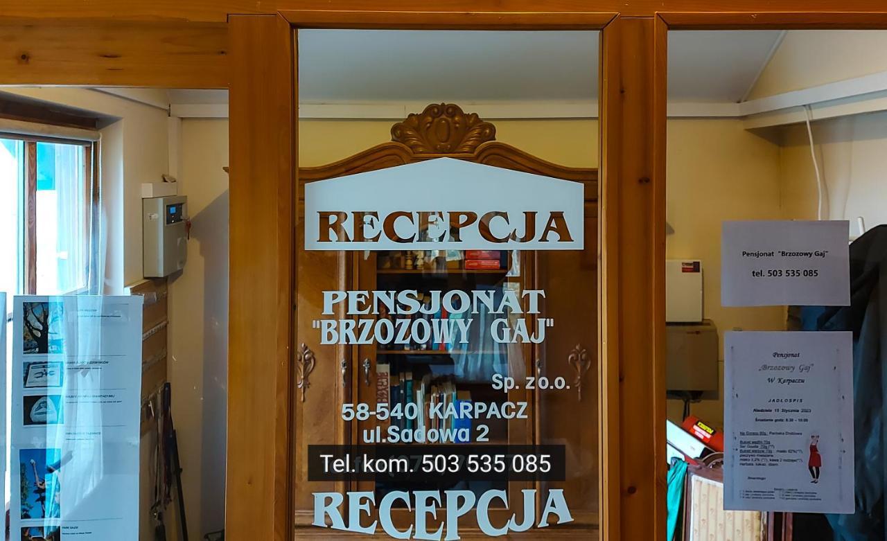 Brzozowy Gaj - Pensjonat Karpacz Dış mekan fotoğraf